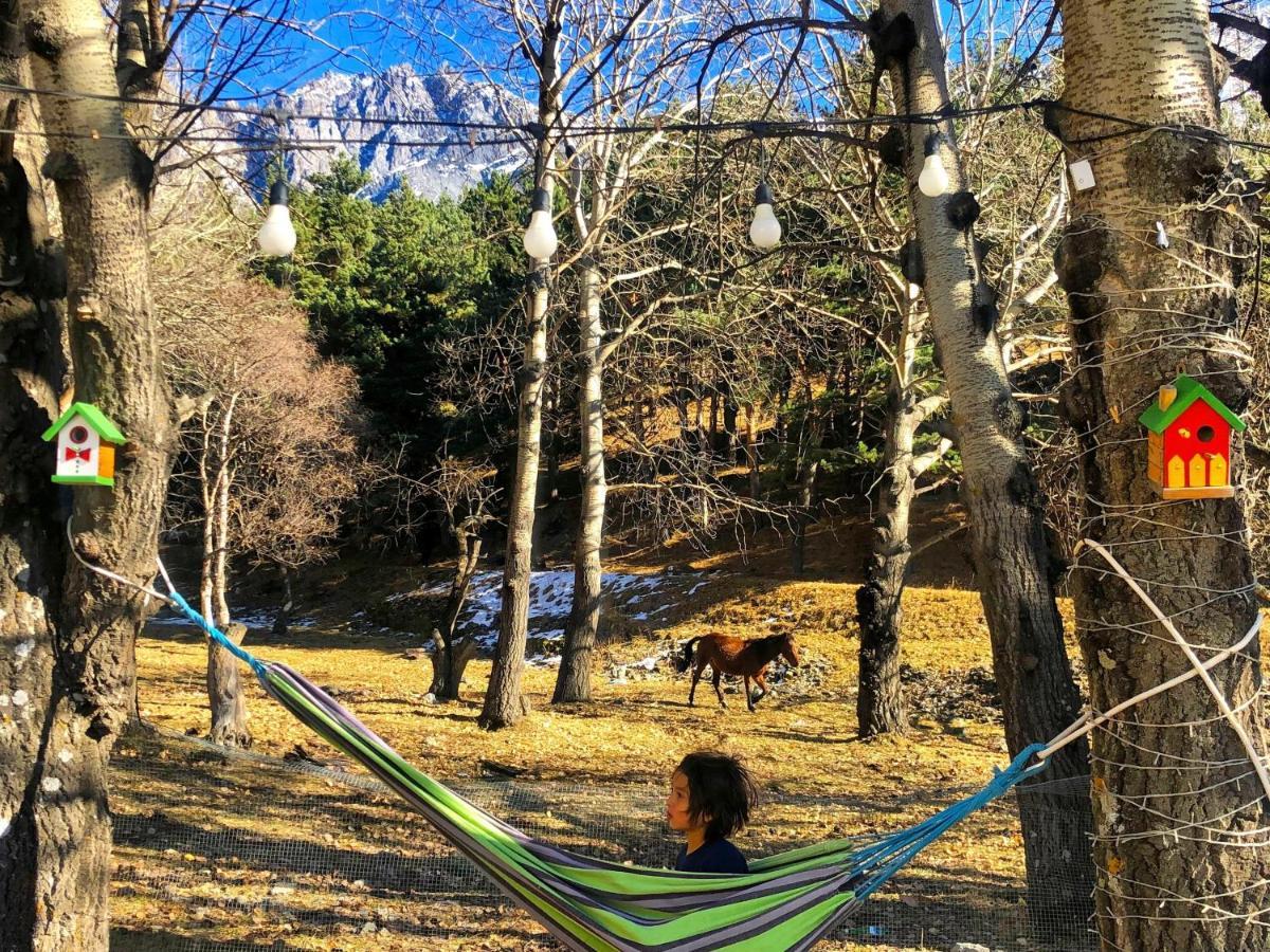 Oishe Terrace Hotel Kazbegi ภายนอก รูปภาพ